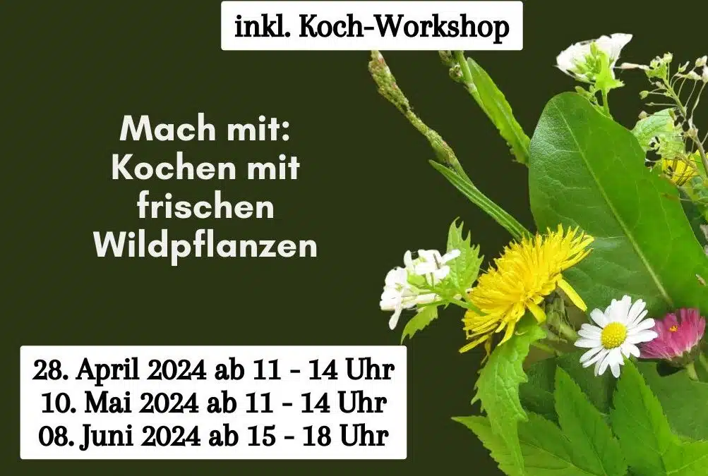 Kräuterwanderung & Koch-Workshop